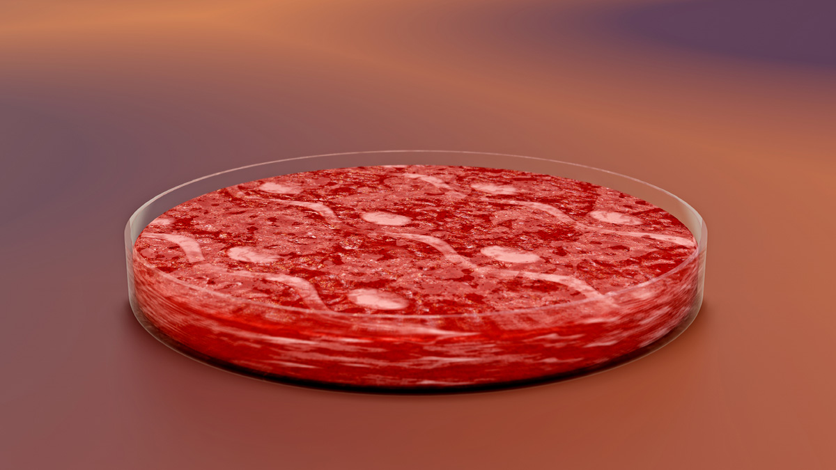 Wiesenhof-Chef fordert Freigabe fr Fleisch aus der Petrischale | HOGAPAGE  Nachrichten