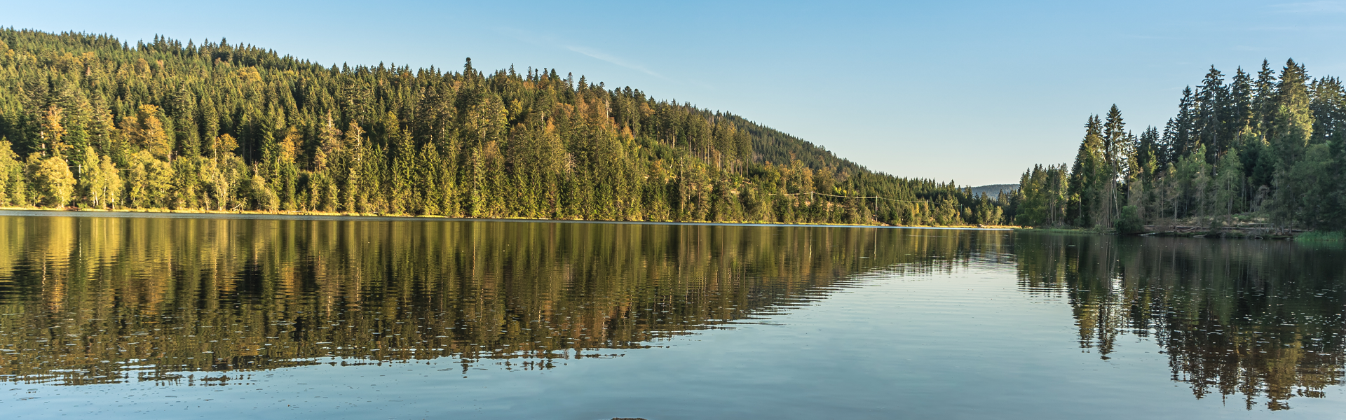 Hotel- und Gastronomie Jobs im Schwarzwald – Karrierechancen in einer idyllischen Urlaubsregion.