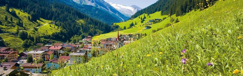 Abwäscher / Spüler m/w/d