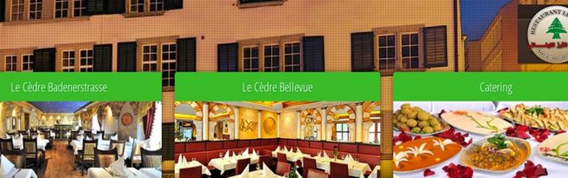 Shawarma-Spezialist, Hilfskoch (m/w) 100%