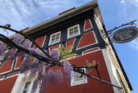Quetschekuchestubb