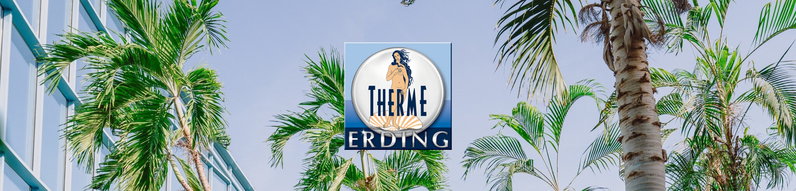 Teamleitung Bar / Supervisor Bartender (w/m/d) in Vollzeit – Therme Erding