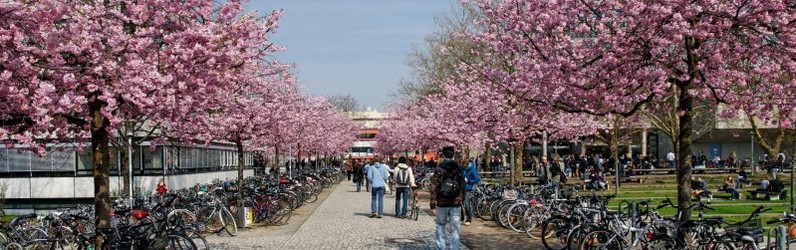 Sachbearbeiter (m/w/d) Studienfinanzierung (BAföG)