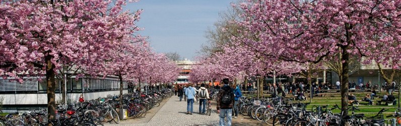 Ausbildung zum Koch (m/w/d)