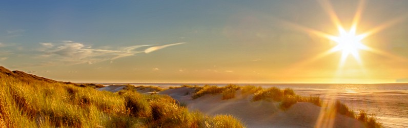 Mitarbeiter/-in Reinigung (m/w/d)