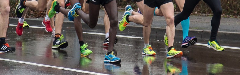 Assistenz der Geschäftsführung / Office Manager (m/w/d)