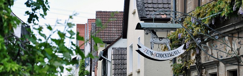 Köchin/Koch (m/w/d)