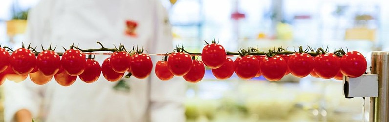 Mitarbeiter:in Gardemanger (m/w/d)
