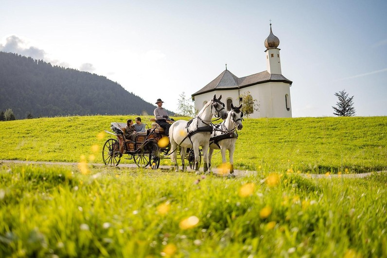 Reitlehrer (m/w/d)
