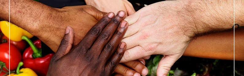 Koch (m/w/d) für unsere Degustation