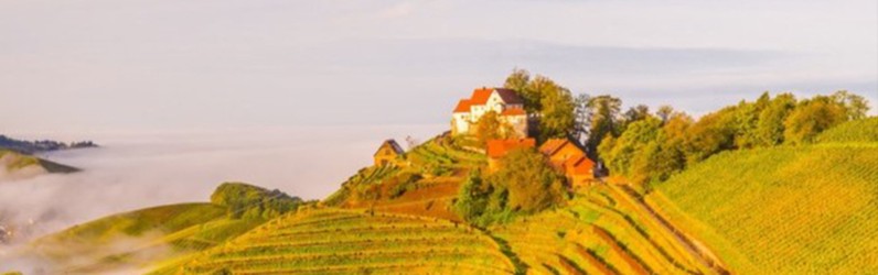 Assistent:in Event (m/w/d) im Schloss Staufenberg