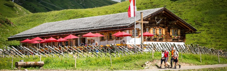 Commis de Rang m/w/d auf der Kriegeralpe