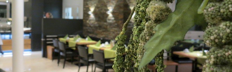 Empfangsmitarbeiter (m/w/d)