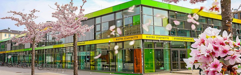 Küchenkraft (m/w/d) in Voll- und Teilzeit