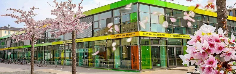 Küchenkraft (w/m/d) in Voll- und Teilzeit