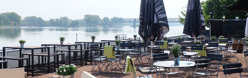 Bar- Thekenkraft  m/w/d Biergarten MOLE