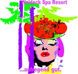 Waldeck SPA Kur- & Wellness Resort