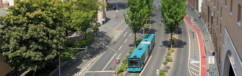 Koch/Köchin (m/w/d)