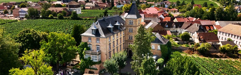 Chef de Rang m/w