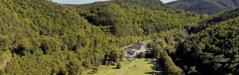 Verkaufsleitung Innendienst (m/w/d)