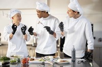 gastroverse gmbh   Velani