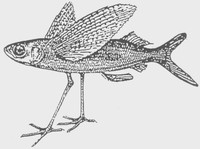 Fischmeister Gaststätten GmbH
