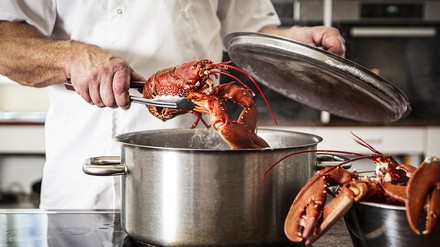 Hummer wird aus dem Topf genommen Hummer wird aus dem Topf genommen