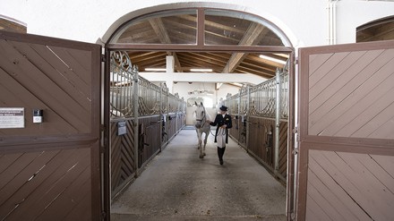 Pferdeboxen Pferdeboxen