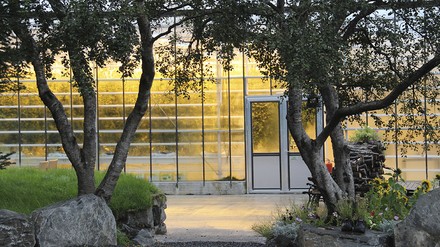 Gartendemo Gartendemo