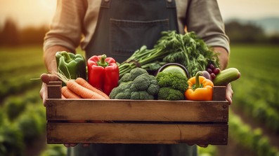 Eine perfekte Symbiose