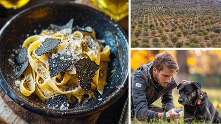 schwarzer Trüffel Soria ist für den Anbau von schwarzem Trüffel bekannt