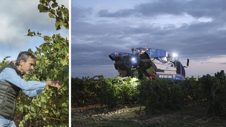 Drei Fragen an Mario Muñoz Blanco,  Exportchef C.R.D.O. Rueda Drei Fragen an Mario Muñoz Blanco,  Exportchef C.R.D.O. Rueda