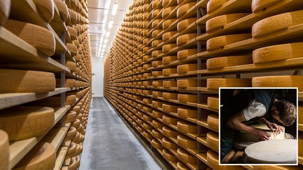 Greyerzerkäse Das Käselager für Greyerzerkäse