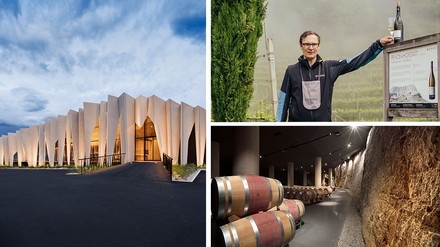 Kurtatsch Kurtatsch: Vinothek, Weinprobe im Weinberg und Weinkeller