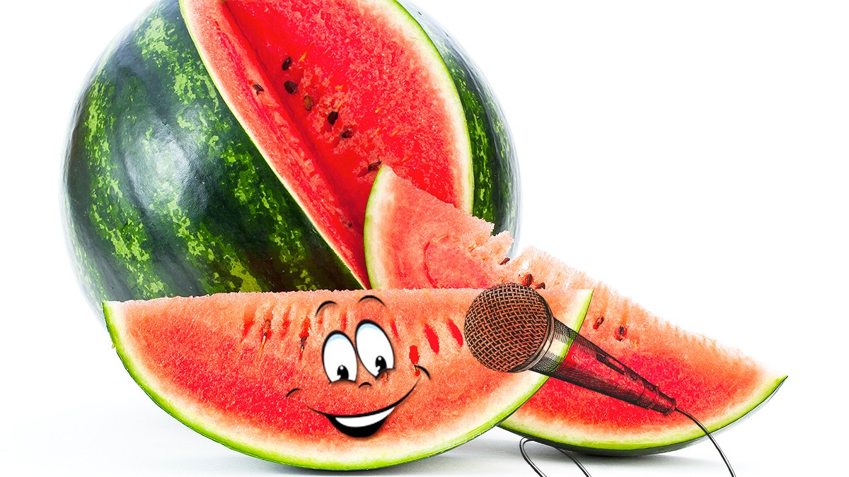 Foto: mecaleha, hanaschwarz via Getty-Images, Christine/stopck.adobe.com Die Wassermelone im Exklusiv-Interview