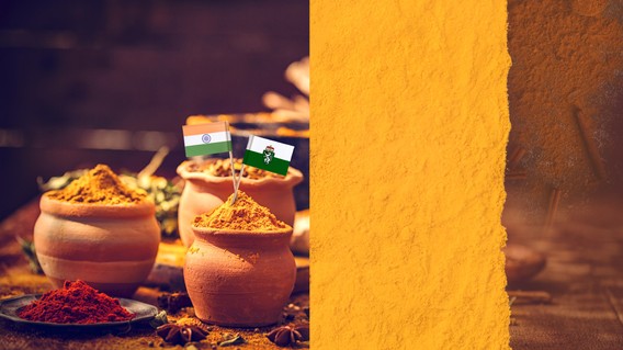 gelbe Gewürze in Tonschalen