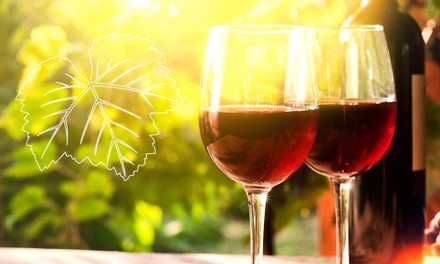 In der Jugend liegt die Kraft