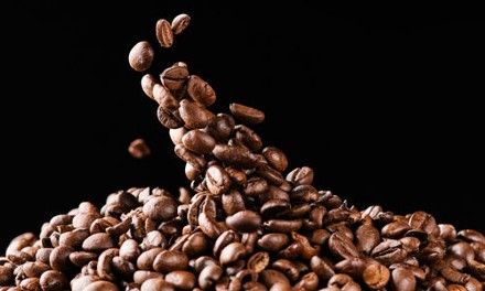 Auch für Kaffee Cocktails geeignet