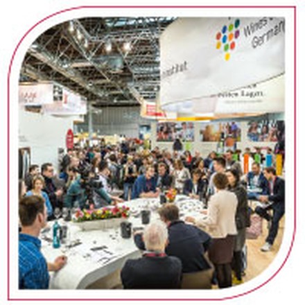 DWI Deutsches Weininstitut