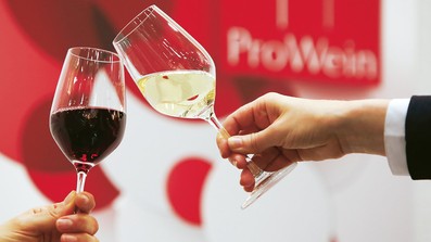 Käptn Karlheinz und seine Flotte