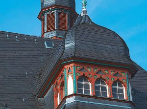 Beschwerde Veganerin