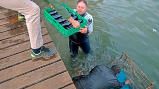 Wein im Luganer See