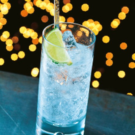Gin Tonic Gin Tonic