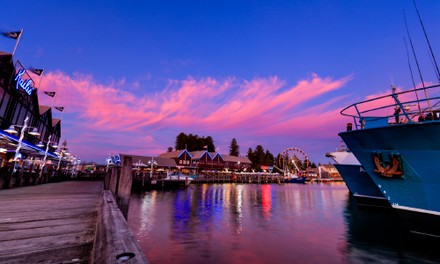 Hummer fangfrisch direkt aus dem Korb Hummer fangfrisch direkt aus dem Korb