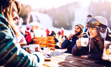 Back to the roots Back to the roots