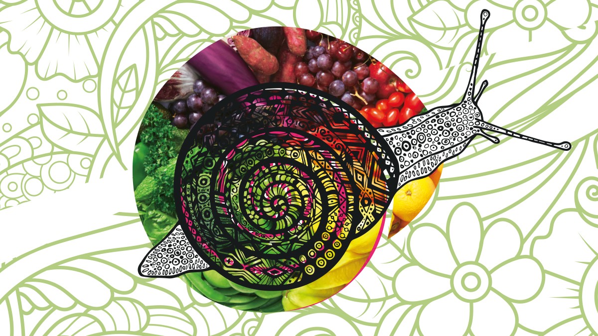 Fotos: fotolia.com: olhabocharova, fotolia.com: iriska48, iStockphoto Gut Ding braucht Weile