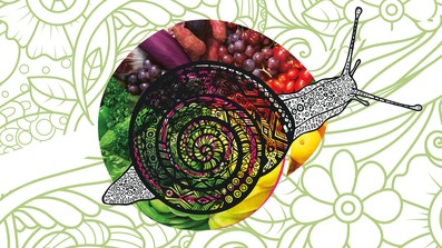 Gut Ding braucht Weile