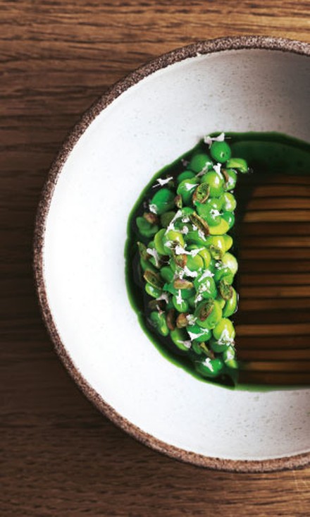 Grünes Essen auf Teller Grünes Essen auf Teller