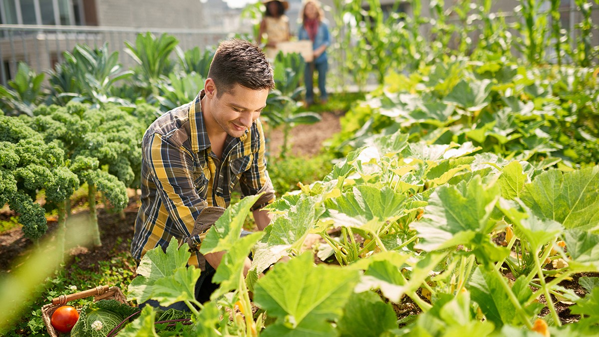 Foto: AYAimages/stock.adobe.com Was heißt schon nachhaltig
