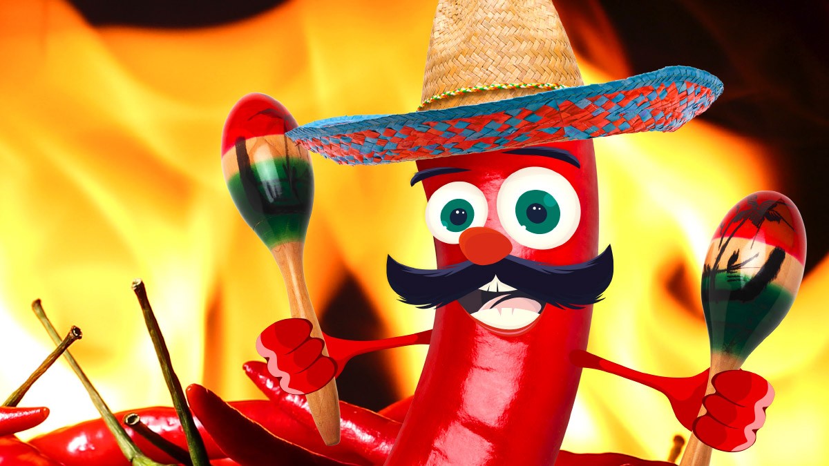 Fotos: iStockphoto
 Chilli Interview